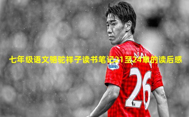 七年级语文骆驼祥子读书笔记21至24章的读后感
