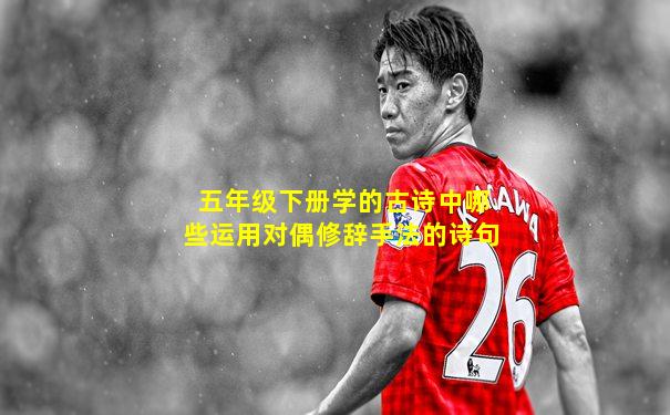 五年级下册学的古诗中哪些运用对偶修辞手法的诗句