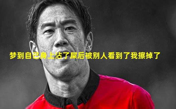 梦到自己身上沾了屎后被别人看到了我擦掉了