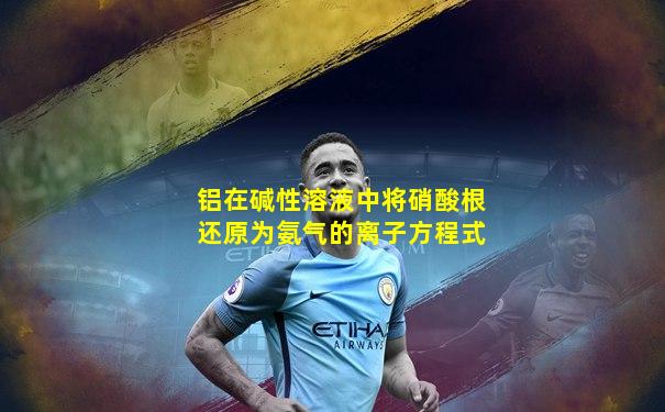 铝在碱性溶液中将硝酸根还原为氨气的离子方程式