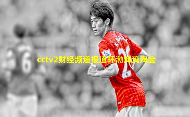 cctv2财经频道报道环渤海湾淘金
