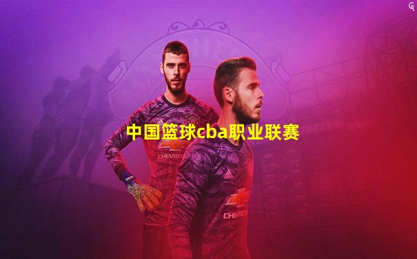 中国篮球cba职业联赛