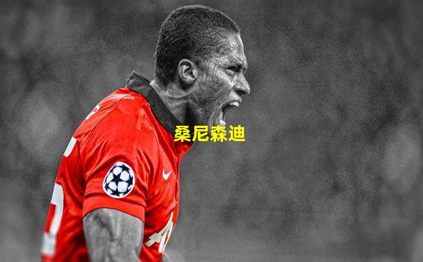 桑尼森迪