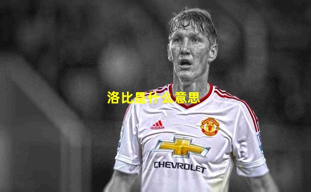 洛比是什么意思