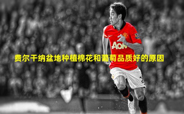 费尔干纳盆地种植棉花和葡萄品质好的原因